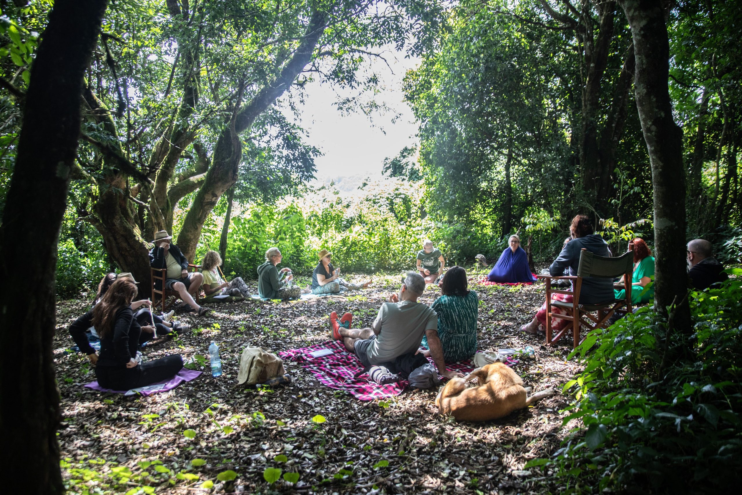 Groupe de participants en cercle de partage lors de la retraite Human, un voyage spirituel en immersion dans la nature kenyane.
