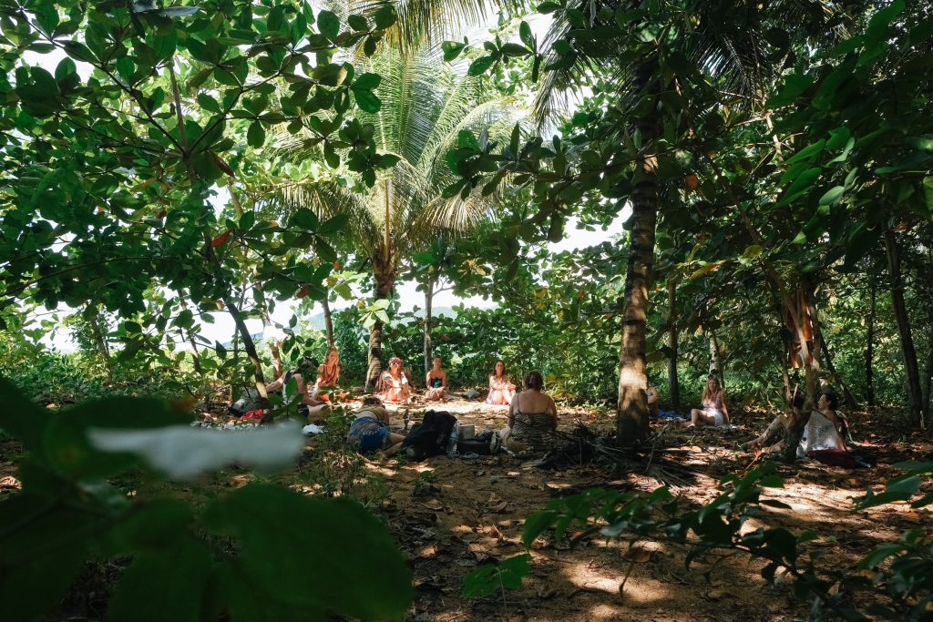 
Cercle de participants en pleine nature lors d'une retraite thérapeutique en Guadeloupe, sous les arbres d'une forêt tropicale