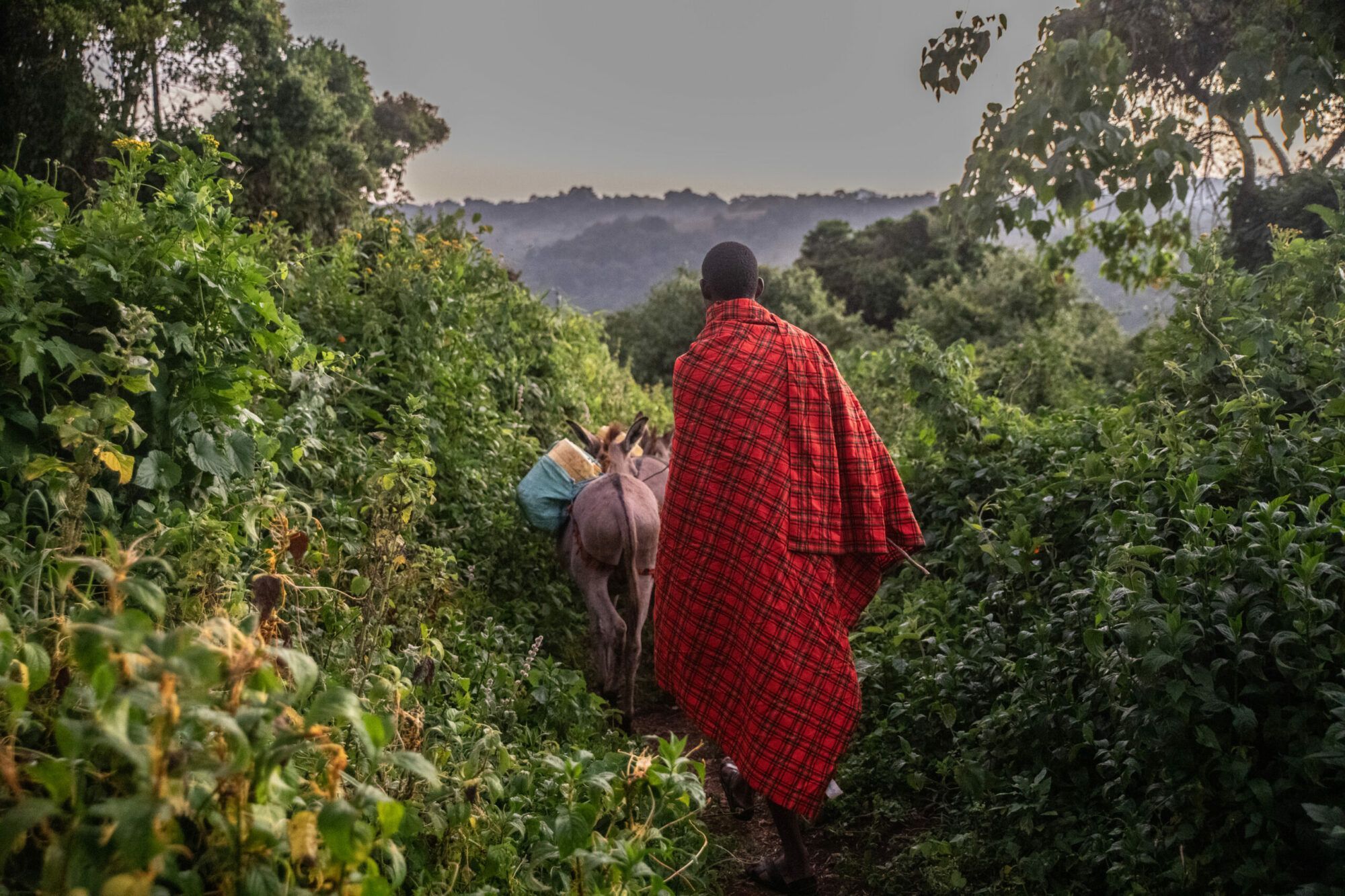 marche en conscience avec les Maasai au Kenya lors d'une retraite spirituelle