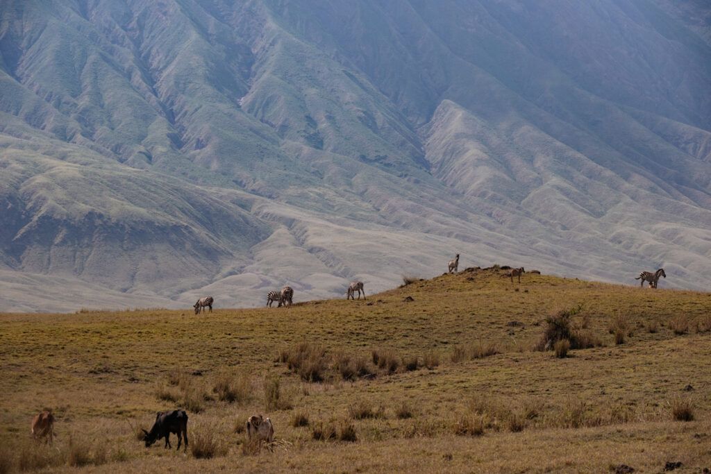 Voyage initiatique en Afrique : le témoignage de Cindy, partie seule se retrouver en Tanzanie 1 celinemachyreportage retraiteparEmmanuelleGuiardPaulos Tanzanie 39